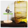 T02C!Bird Training Stand Bird Training Stand Perch Stand Base For Desk Floor Playtime Activities Floor And Birdcage Use For Trai