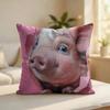 Cute Funny Pig Friends Gift Cushion Cover Silky Short Plush Invisible Zipper Dustproof Sofa Pillow Case For Home Decor