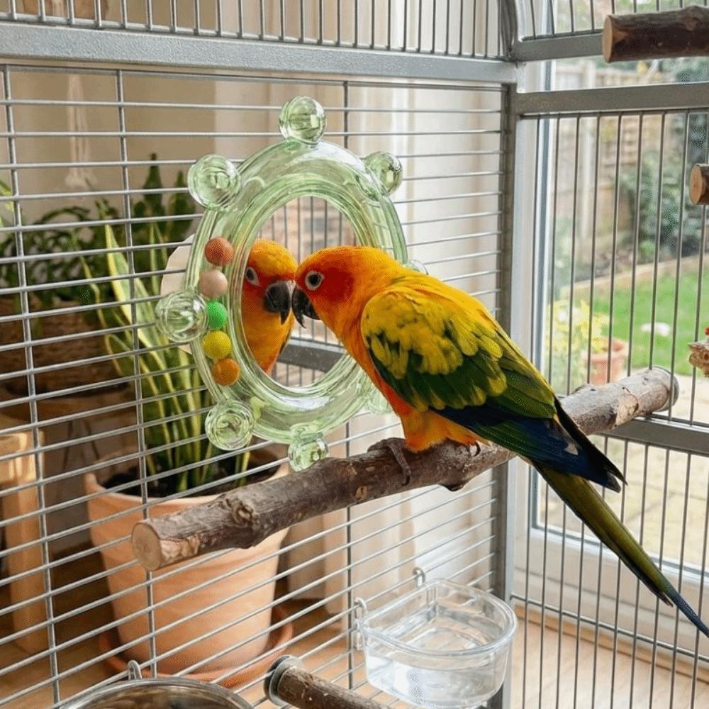 Wear-Resisting Bird Mirror Perch Spinning Puzzle Bird Flying Saucers  Bird Supplies