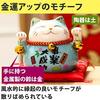 Felimoa Lucky Cat Coin Bank Feng Shui Interior Decoration Money Luck Enhancement Cushion Included 2 Color Set (Red Blue)