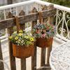 Outdoor Metal Hanging Plant Pot with Iron Rail Hook for Home Garden Wall Decoration and Flower Planting Display