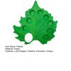 Plastic Leaf-Shaped Palette 8 Removable Well Paint Tray Palette with Thumb Hole for Acrylic Oil Watercolor Painting