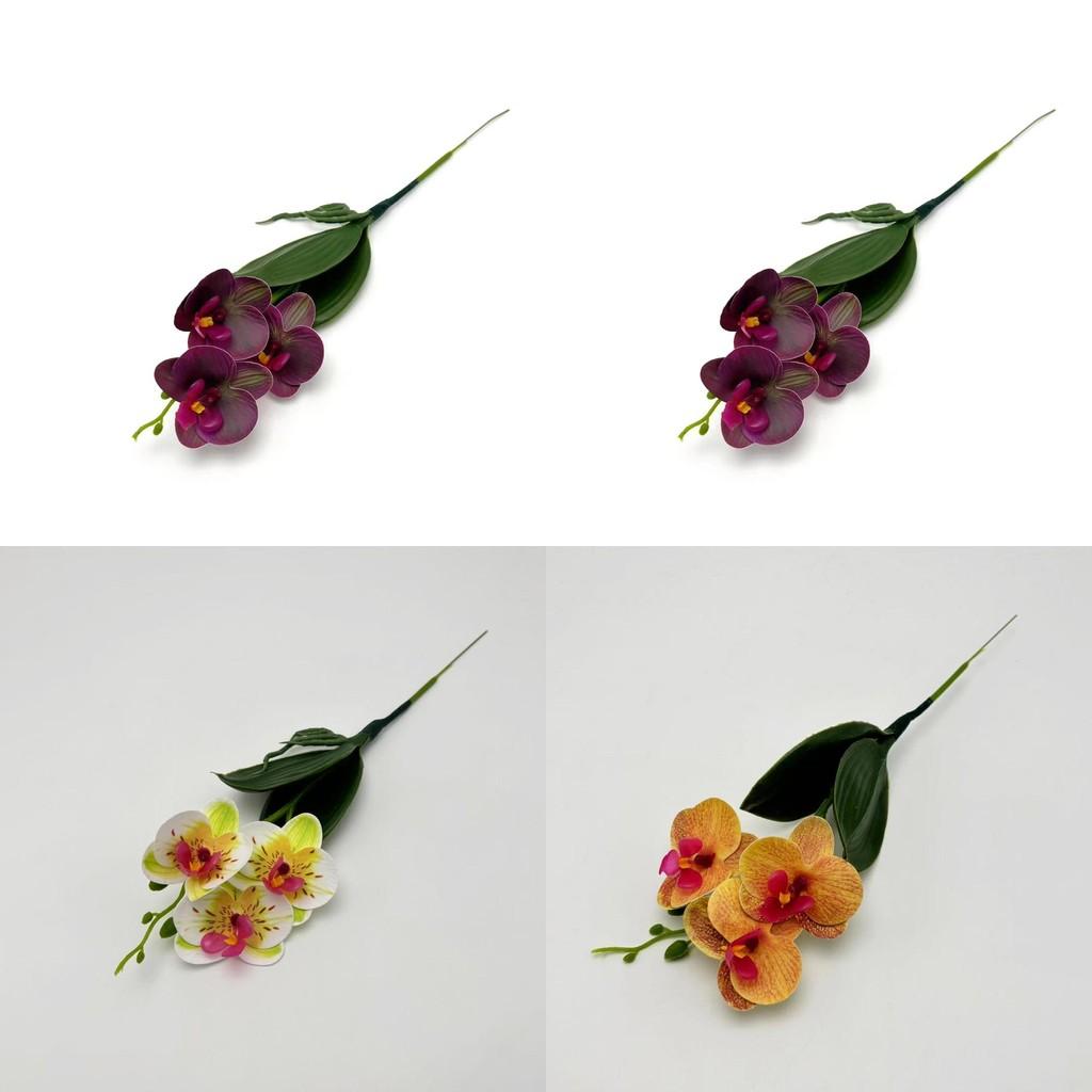 Phalaenopsis Fake Orchid Flower With Shaped Gel Film For Photography And Home Decor