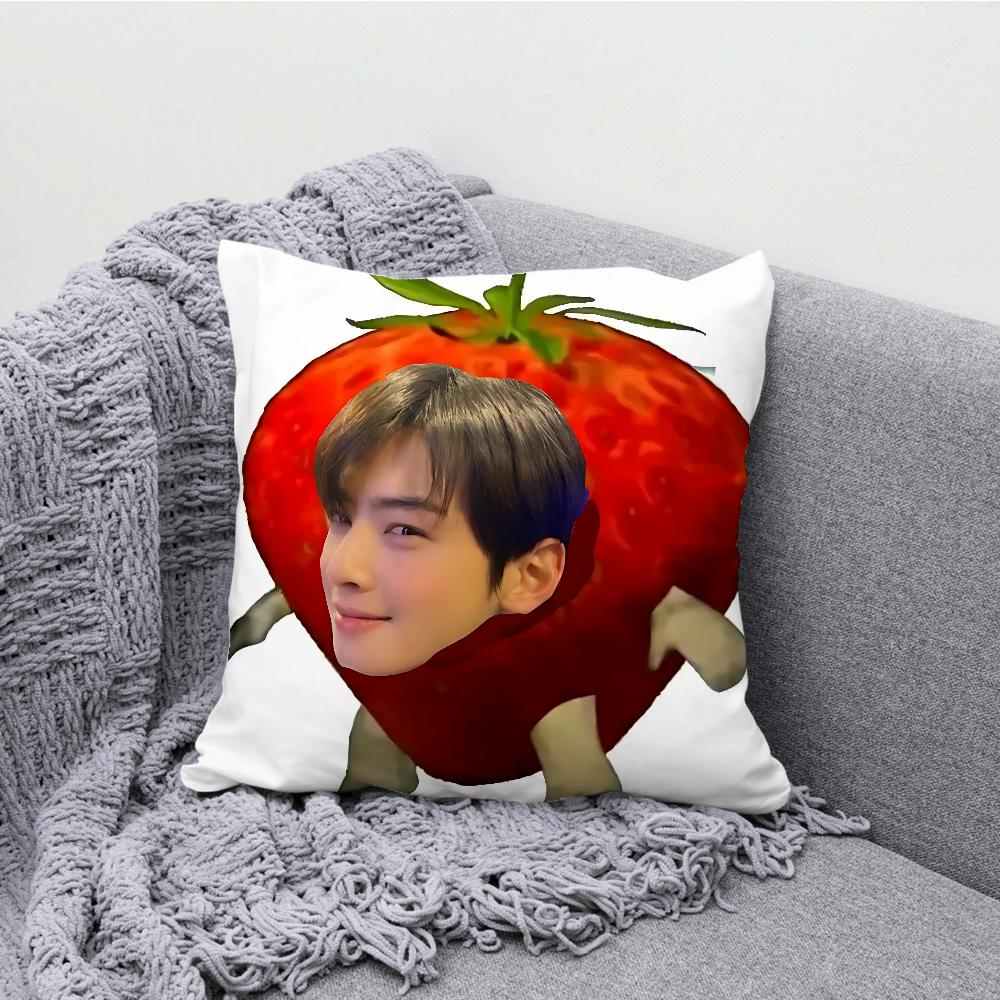 Korea Actor C-Cha Eun W-Woo Pillow Case Soft Cushion Cases for Farmhouse Sofa Decor Home Decorations and Protector Pillow Case