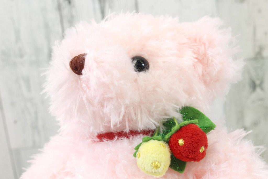Take Off Plush Music Box Wild Strawberry Bear, Small, Pink