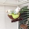 Kokosnussschalen Vogelnesthütten Kleintierhaus Haustierkäfig Lebensräume Dekoration Atmungsaktiv Kokosnussschale Vogelkäfigzubehör