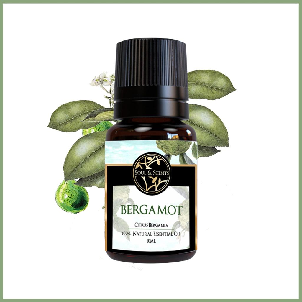 Soul & Scents Natural Bergamot Essential Oil | Pure, Therapeutic-Grade Citrus Oil for Aromatherapy, Mood Balance, & Invigorating Aroma | 100% Org