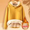 Felpa Larga Invernale da Donna con Pile, Pullover con Cappuccio Ispessito in Peluche d'Agnello, Top Sportivo Casual Monocolore a Manica Lunga, Nuovo