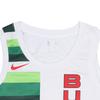 Nike NBA Giannis Antetokounmpo Milwaukee Bucks 2018/19 Authentic Jersey #34 Men's BQ1165-100