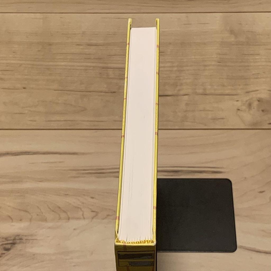 [USED] Rare Yuichi Yokoyama Published by VIAJE YUICHI YOKOYAMA APAAPA