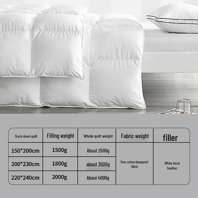 Ran White Duck Down Winter Quilt