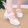 2025 new square dance shoes mesh breathable dance shoes women's soft sole versatile fashion travel casual dance shoes