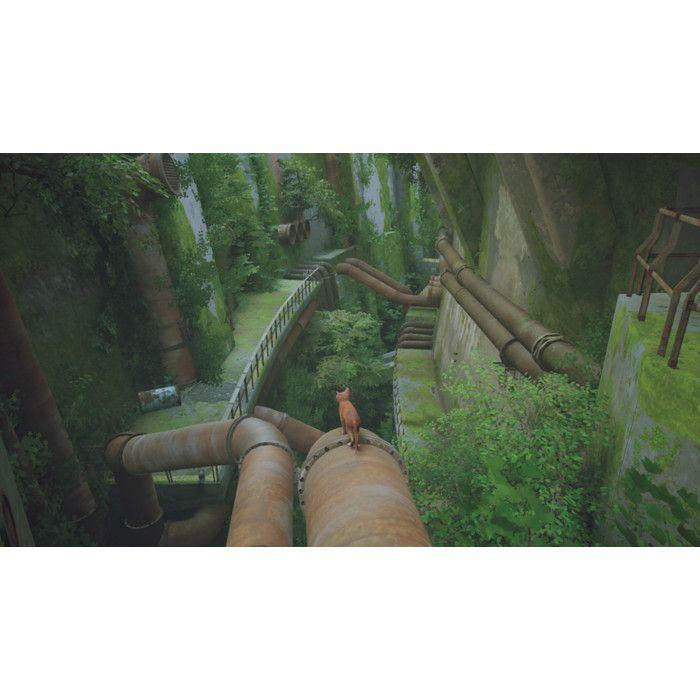 Jeu vidéo - stray - nintendo switch - aventure - import - jouable en français