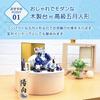Osaka Choseido Koi Nobori (Carp Streamer) Indoor Storage Decoration, Compact Miniature, Ceramic, Personalized Wooden Tag Included (Sent Separately), H