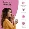 WellnessMantra ReproFast Ayurvedische Tabletten | Kräuterunterstützung für Schwangerschaft & Empfängnis | 60 Tabletten (60 Tabletten) (1)
