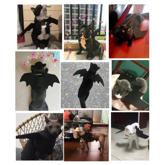 Kočičí netopýří křídla Pet Halloweenský kostým Fotografická rekvizita Cosplay Černá netopýří křídla pro kočky a psy Halloweenská párty Doplňek pro převlečení