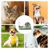 Automatic Feeder Dog Cat Food Bowl With Water Fountain Large Capacity Pet Food Storage Dispenser Container Puppy Pet Accessories