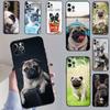 Pug Dog French Bulldog For Huawei Nova 12s 7i 8i 11i 12i Y73 Y70 Y90 Y60 Y72 Y61 Y91 9 10 SE P30 Pro P40 Lite Case