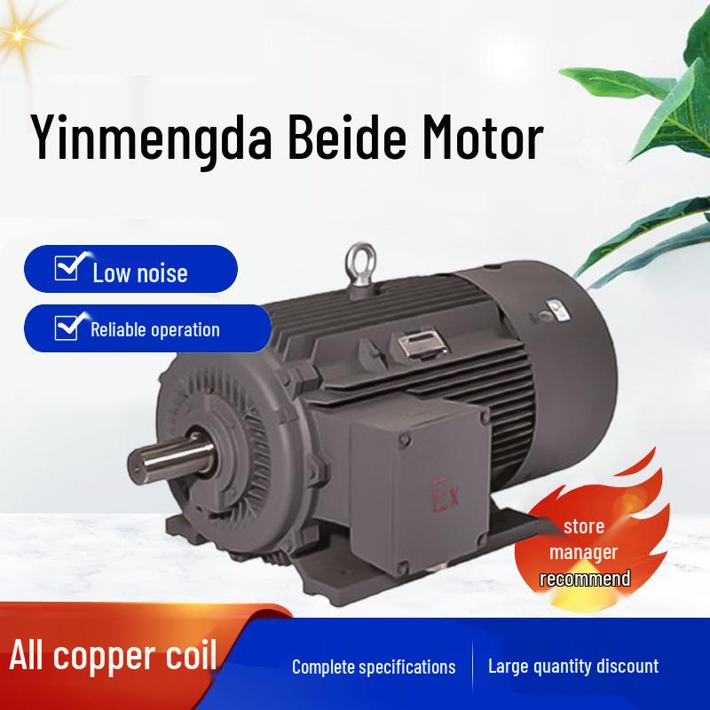 Yinmengda 1MT0 Series Dustproof & Explosion-proof Copper Coil 3-Phase Motor
