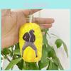 Adorable Talking Watermelon Keychain Plush Doll Funny Plush Toy For Kids