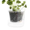 Transparent Glass Flower Pot Double-layer Potting Container With Reservoir Desktop Flower Decoration Vase Hydroponic Plant Pot