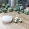 3D Cactus Succulents Silicone Mold For Jelly Chocolate Ice Making Cake Baking Gypsum Wax Concrete Candle DIY Resin Art Mould