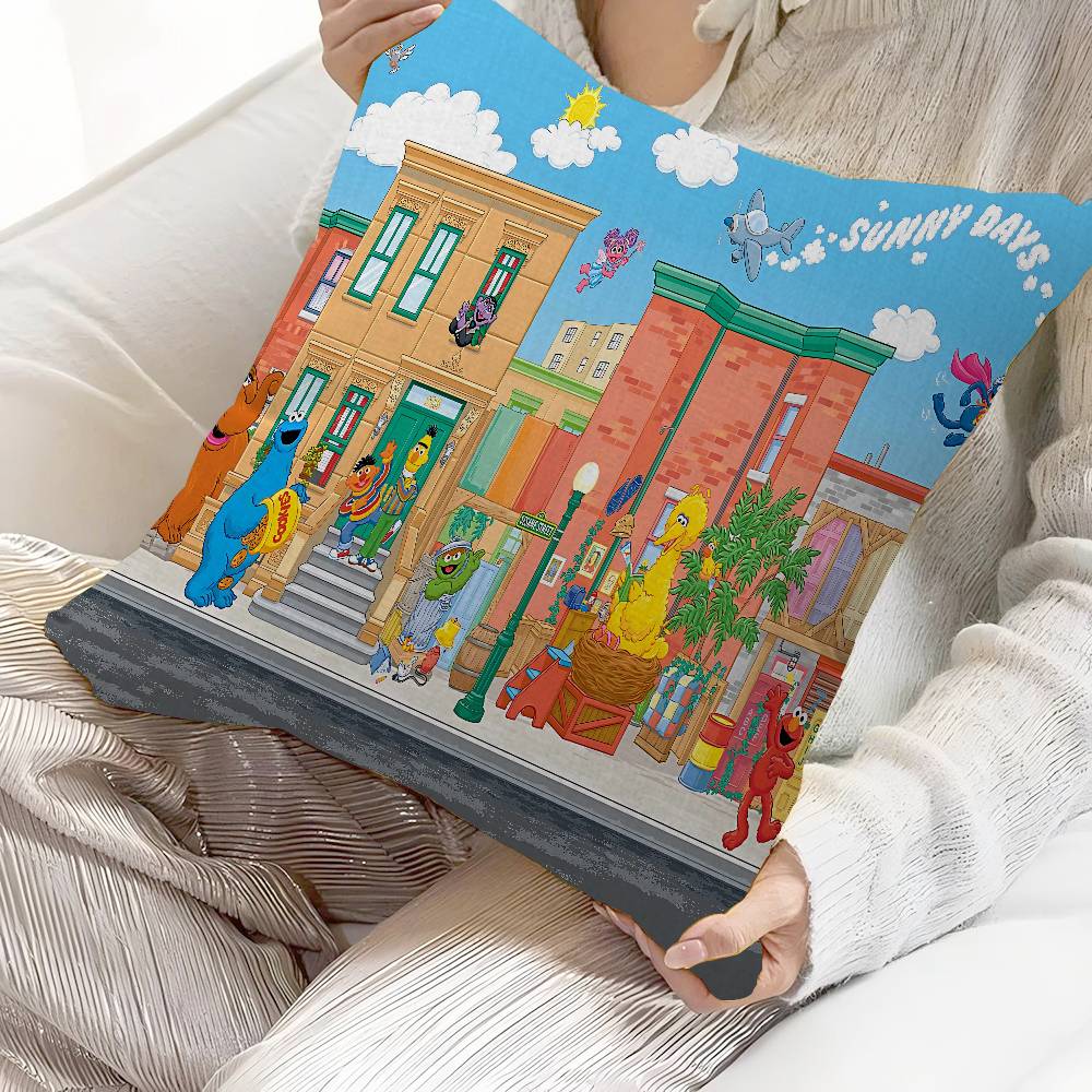 Cartoon S-Sesame-S-Street Pillow Cover Design Cushion Cover Decor Holiday Decorati