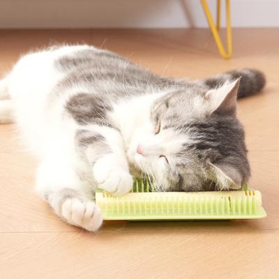 Yuvarlak Kör Uçlu Tarak Dişleri Dahili Kedi Nanesi Tabletleri Yapışkan Arka Yüzeyli Kedi Kaşıyıcı Kedi Bakım Aracı Mobilya Aparatı