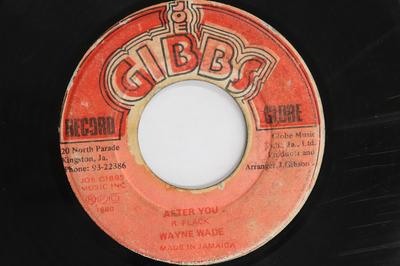 7inch Record WAYNE WADE  JOE GIBBS  THE PROFES  After You  Passing On NONE JOE GIBBS RECO 1980 Jamaica Reggae Ska  Dub Used