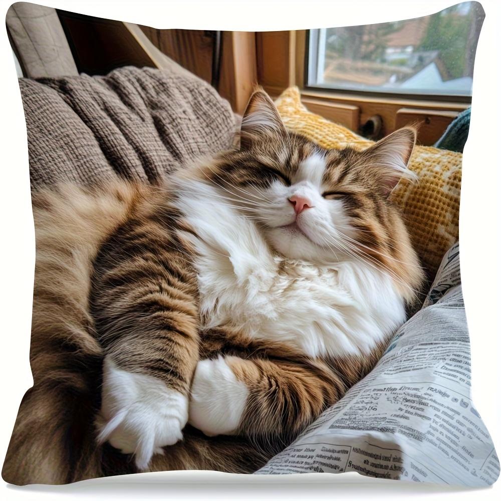 

2D flat- Cozy Sleeping Fluffy Tabby Cat Throw Pillow Cover Warm Home Decor Cushion Case for Sofa Bedroom 45x45cm-1pcs