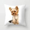 Cute Yorkshire Terrier Dog with Glasses Cushion Cover Peach Skin 2D Print Yorkie Throw Pillow Case Sofa Living Room Decor Gift