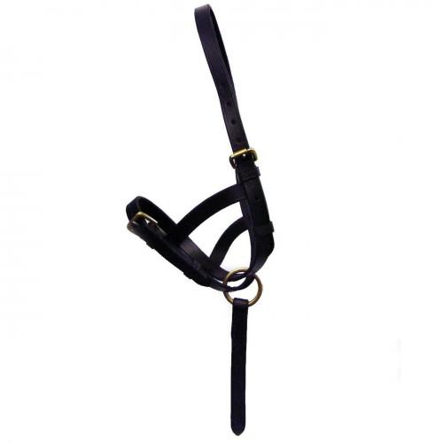 Hy Leather Foal Slip