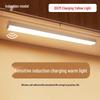 Smart Wireless Motion Sensor LED Night Light Strip for Home, Hallway, and Wardrobe