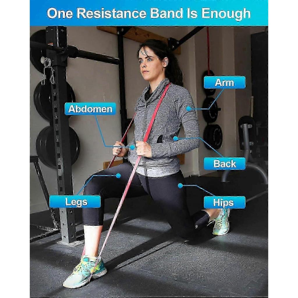 Resistance Bands Set for Men Women,with Different Resistance Levels, for Strength Training Fitness Yoga Toning,(Purple/Red/Black/Yellow)