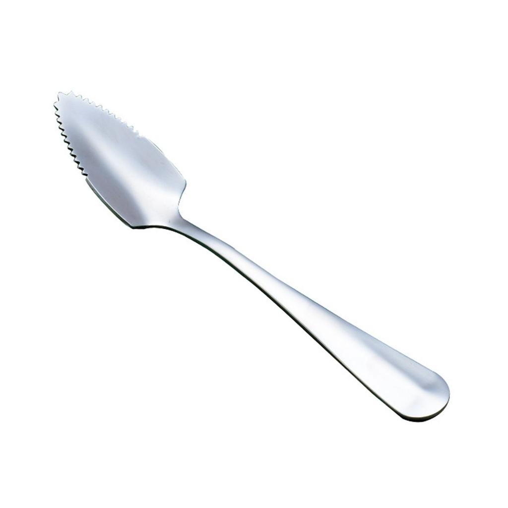 Steel Serrated Edge Scraping Kiwi Scoop Fruit Puree Tool Grapefruit Spoon Baby Food Processer