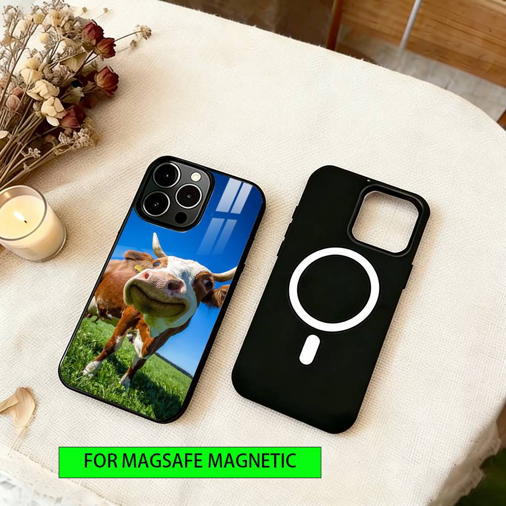 

Abstract Animal Perspective Phone Case For iPhone17,16,15,14,13,12,11 Plus,Pro Magnetic with Magsafe Wireless Charging iPhone15ProMax