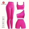 Women's Seamless Yoga Set: High-Elastic Vest and Breathable Sweat-Wicking Gym Tights.