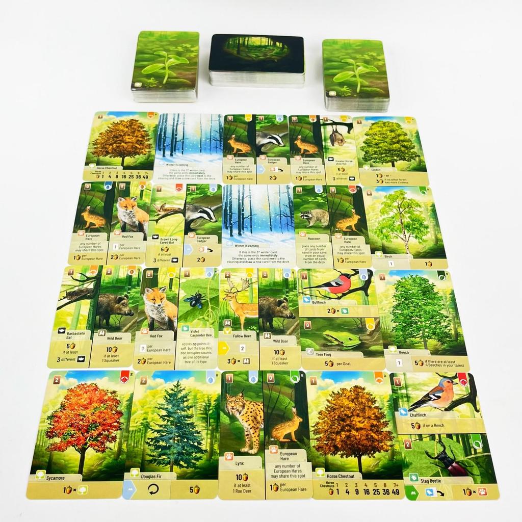 Forest Shuffle Card Family Game for Kids Adults Woodland Edge Party Board Games