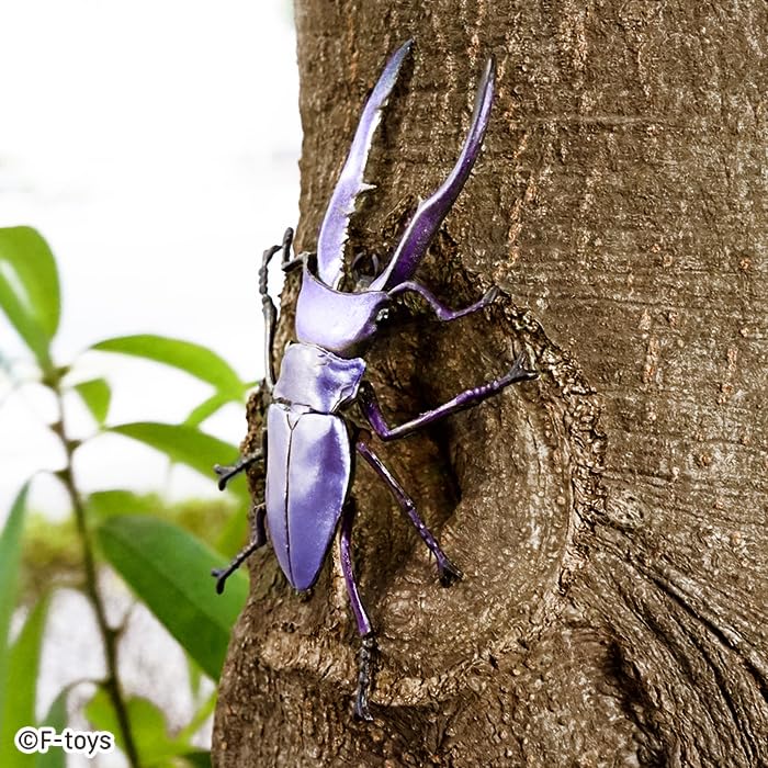 Confect Insect Hunter 10 Pieces Candy and Gum F-toys