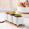Five-pointed Star Flowerpot Tray Bamboo Wood Planter Stander Base Gift Succulents Bonsai Holder