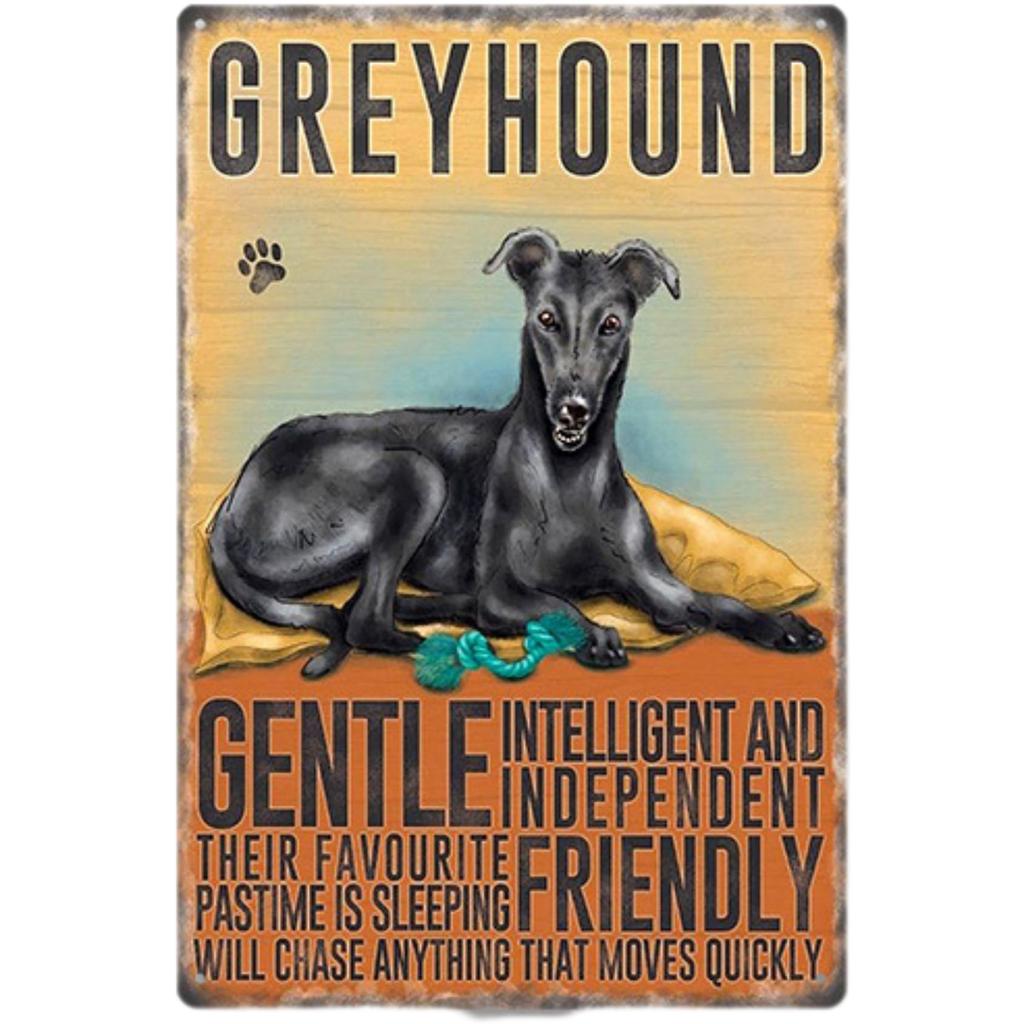 Retro Blechhund 20 x 30 NYANDELMO Schild, (Italienischer Windspielhund), cm, 4-Loch, Leichtgewicht, Vintage, Amerikanisch, Englisch, ND-0308-R04-G-DOG-10