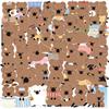 50 Daily Stickers Packs of Transparent Short Tail Kangaroos, Waterproof Transparent PET Manual Material Decorative Guitar