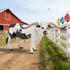 Realistic Holstein Bull Dairy Cow Simulation Toy for Children's Cognitive Development