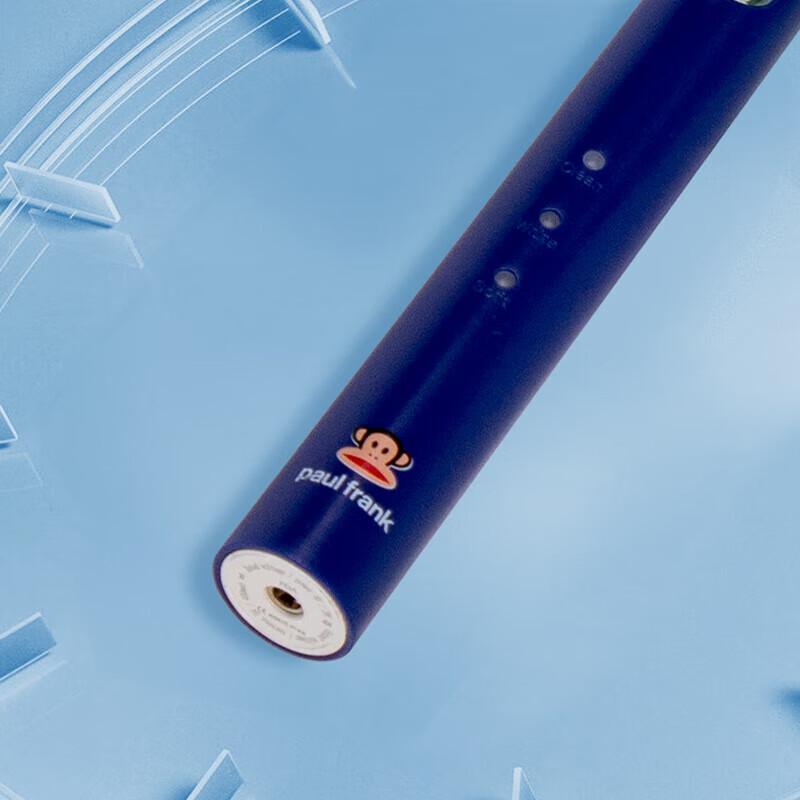 Paul Frank DZH-G14 Sonic Electric Toothbrush