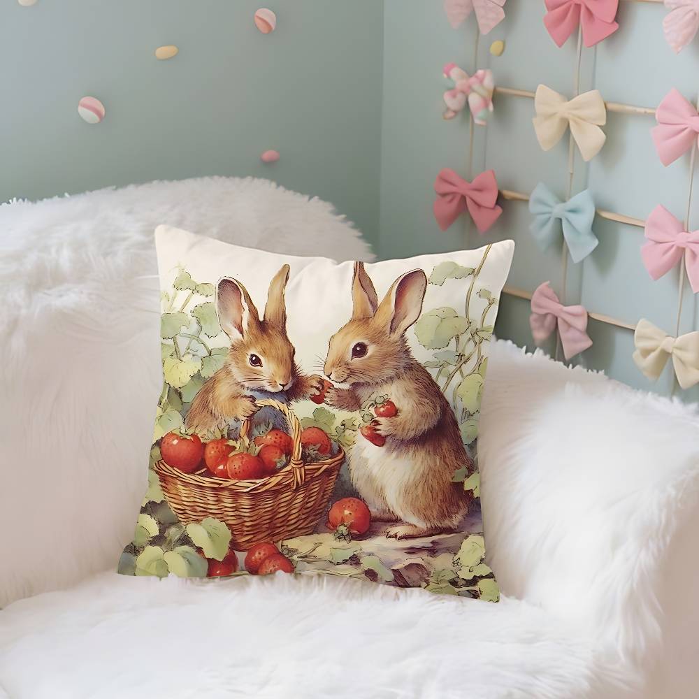 PPeters RRabbits Case Plush Fabric Soft Pillowcase Double Sided Print Cushion Cover Household Gifts