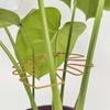 Monstera Plant Trellises Stakes Vertical Growth Support Holder for Indoor and Outdoor Plant Monstera Flowers