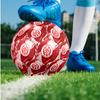 Mainz FC Size 5 Standard Football Durable Training Match Soccer Ball for Adult Outdoor Sports