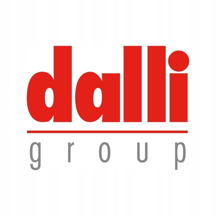 Dalli Evidur Rein Weiss Curtain And White Detergent Powder 10 Washes 600 1 Pc