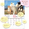 Active Corporation 2026 Wall Calendar Starts January 2026 (Because it's Shiba) 26ACL-64