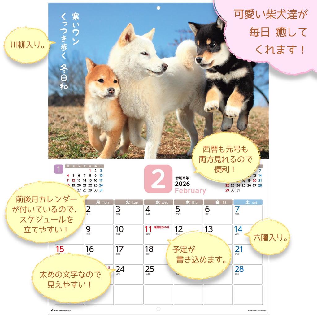 Active Corporation 2026 Wall Calendar Starts January 2026 (Because it's Shiba) 26ACL-64